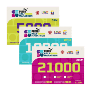 cebu_inclusions_bib_2025